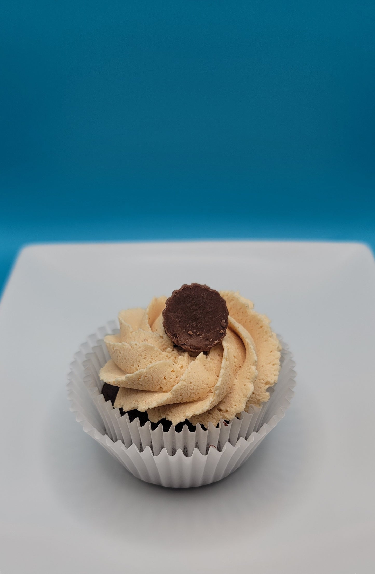 Chocolate Peanut Butter Dozen