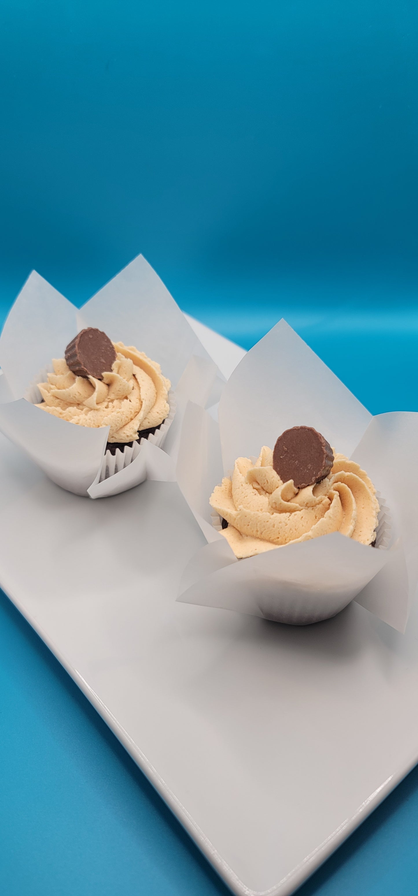 Chocolate Peanut Butter Dozen