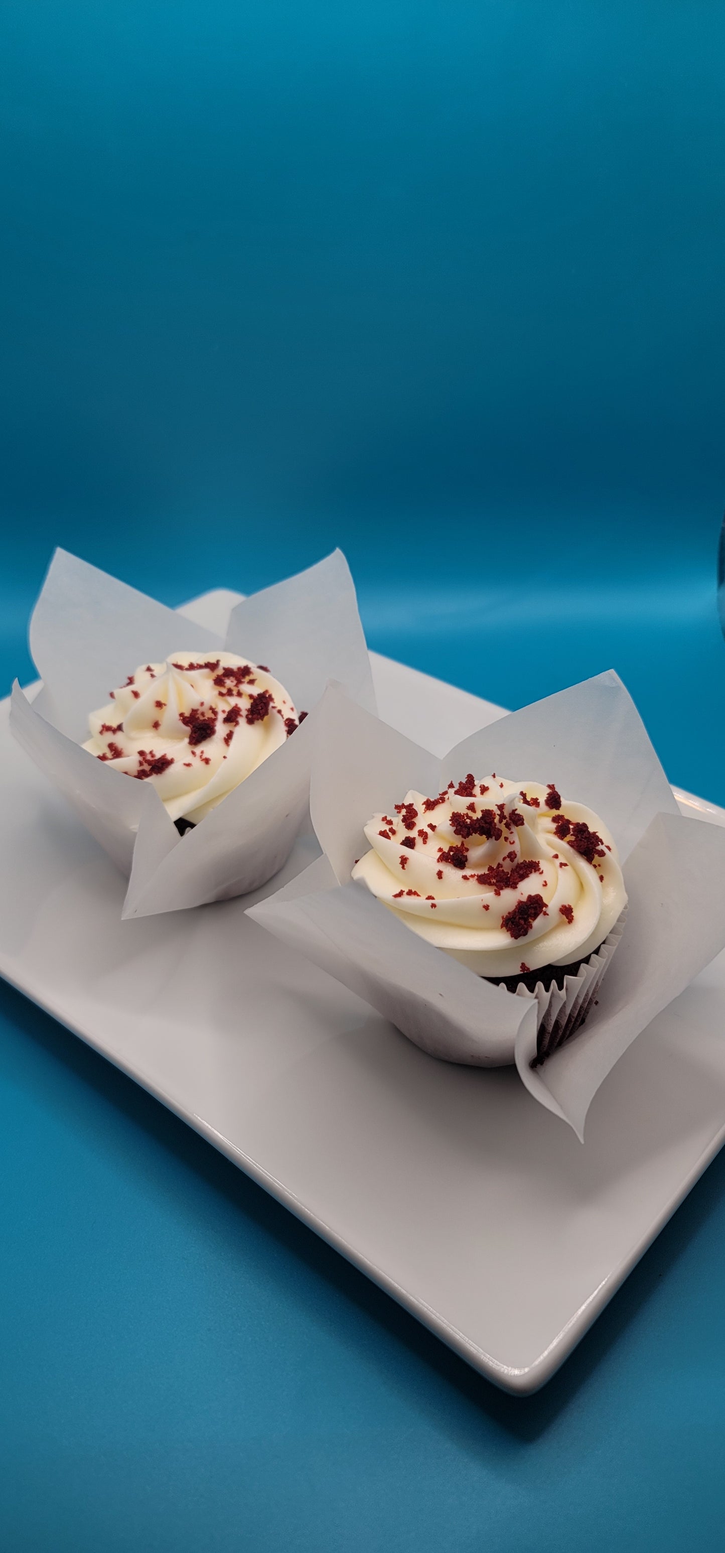 Red Velvet Dozen